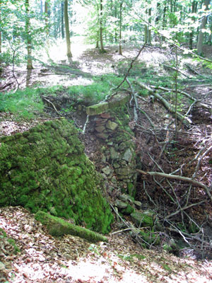 Natursteinbrücke im Hohlen Grund